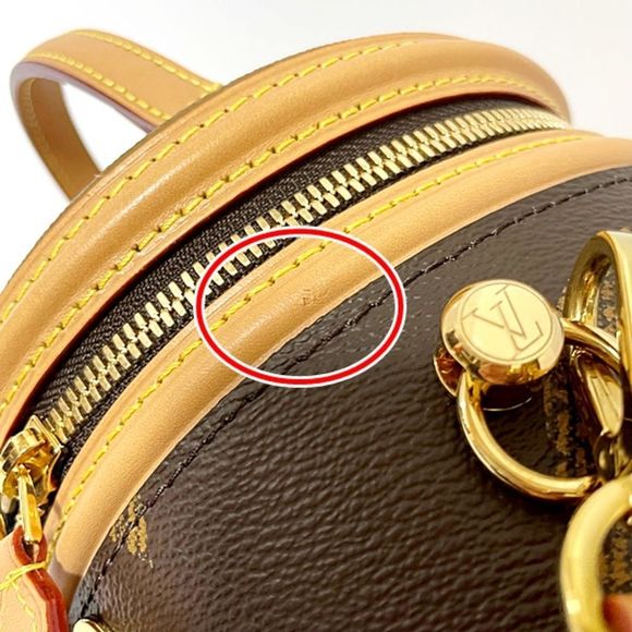 Louis Vuitton Giant Monogram Cannes Shoulder Bag - Picture 5 of 7